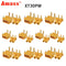 10  Pairs Amass XT30PW XT30 Connector Plug Male and female Upgraded Female & Male Heat Shrink Gold Plated For RC Parts